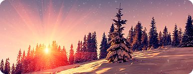 Qreformissa vahvan kasvun vuosi | Qreform Oy