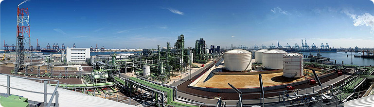 Competency management